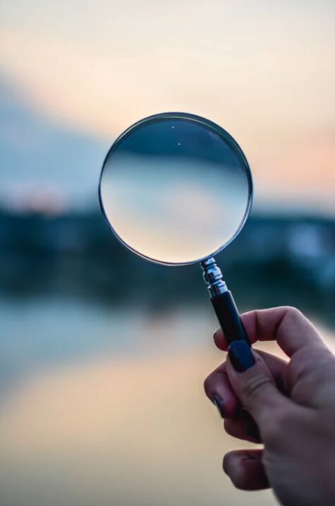 Cultivate Curiosity